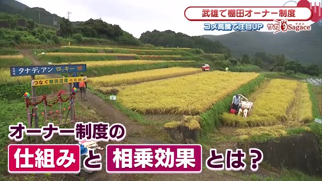 米高騰時代の新たな選択肢「棚田オーナー制度」　武雄市で農家でなくても自分の米が作れる取り組みが注目