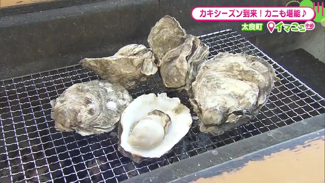 冬の旬の三冠王「牡蠣・カニ・みかん」が勢揃い 太良町「道の駅太良 たらふく館」