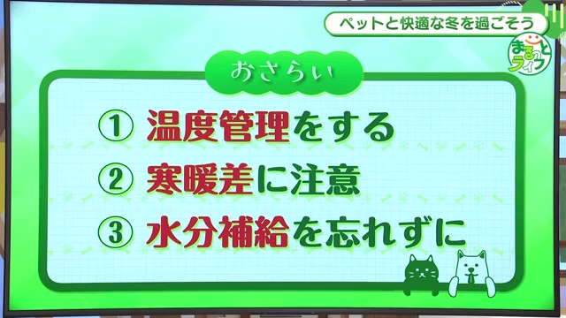 大切なペットと過ごす快適な冬！専門家が教える寒さ対策のポイント