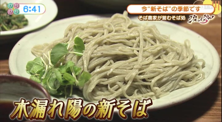 今が旬！佐賀市富士町「木漏れ陽」で味わう2025年新そばの魅力