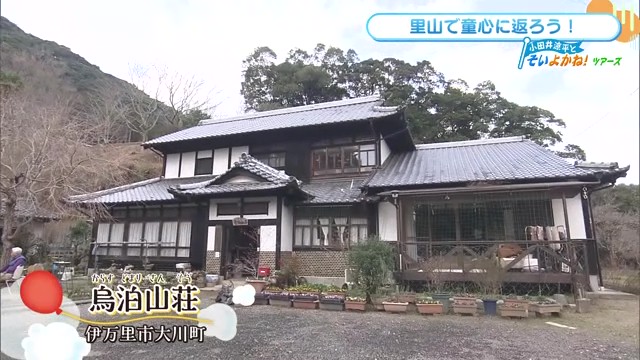 伊万里市「鳥泊山荘」で童心に返る自然体験 ツリーハウス、ジップライン、焼き芋作りを満喫