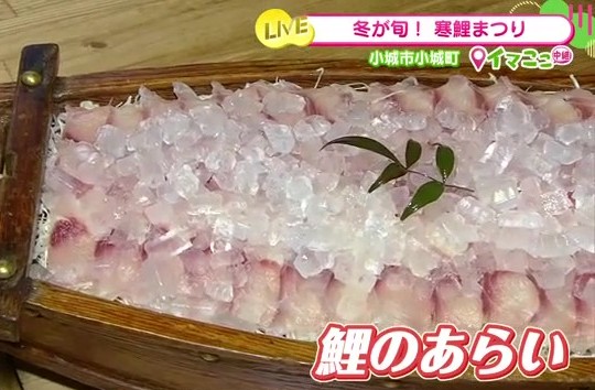 小城市「鯉しげ」で味わう寒鯉の極上グルメ！2月限定「寒鯉まつり」で脂のり抜群の鯉料理を堪能