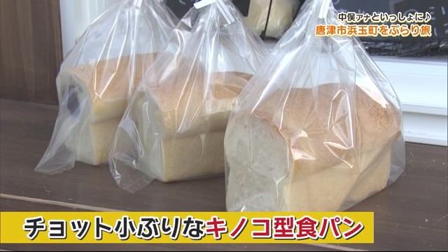 「また食べたいな」ぐらいのサイズのパン屋「Tui Tui」ついでに美容室でおしゃれも「Anchor」