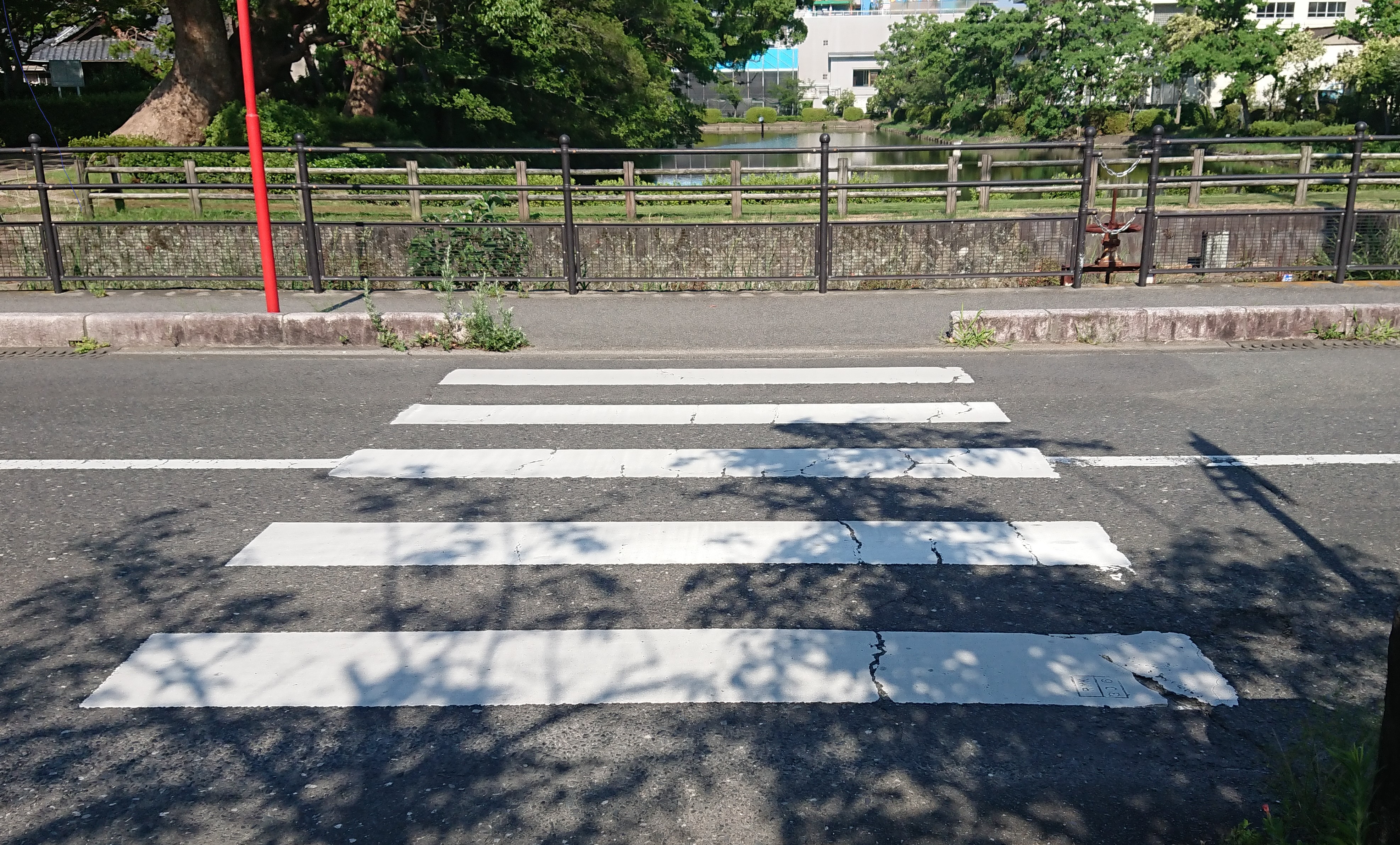 横断歩道