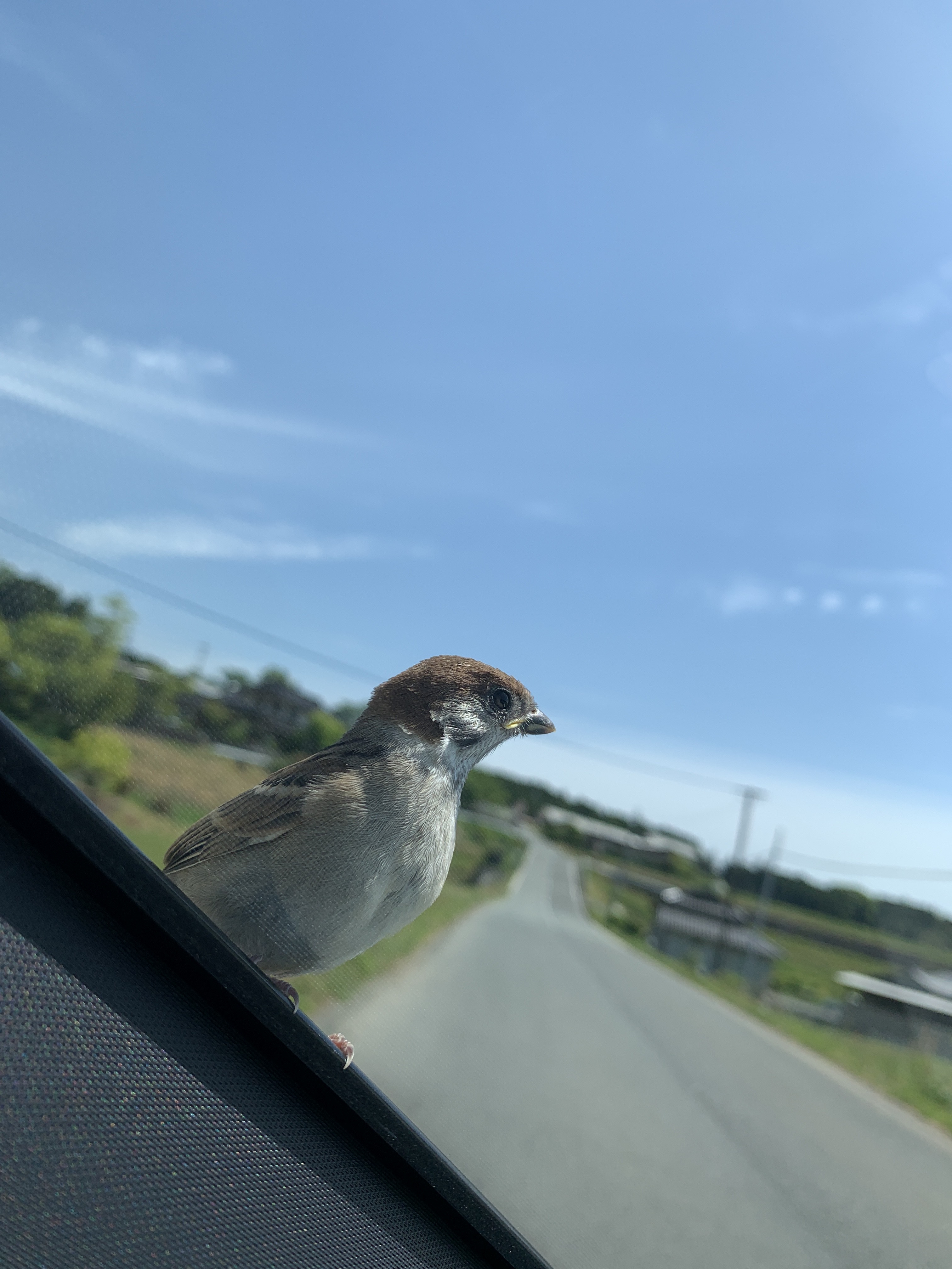 小さな幸せ♡