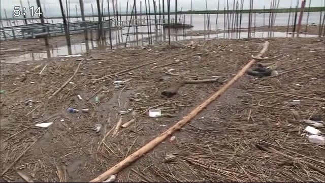 豪雨で有明海に大量の流木やごみ漂着【佐賀県】