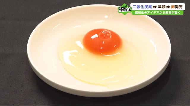 きっかけは高校生のアイデア 「藻類」飼料で卵開発・商品化 抗酸化作用「アスタキサンチン」含有