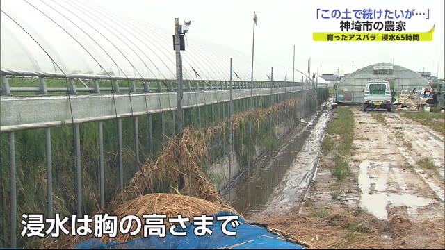 アスパラガス農園では胸の高さまで浸水 農業にも深刻な被害【佐賀県】