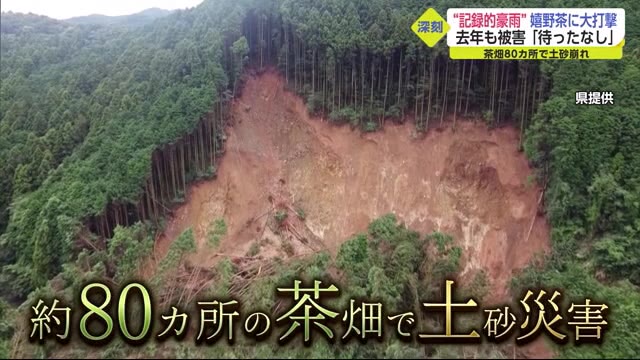 「ぼうぜんとするしか…」大雨で茶畑80カ所の土砂崩れ 嬉野茶に深刻な影響も【佐賀県】