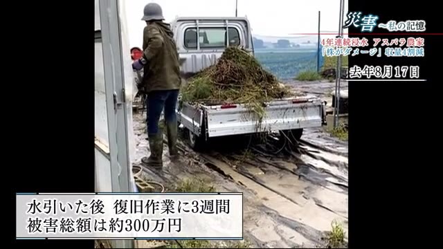 4年連続で浸水被害にあったアスパラガス農家 梅雨入り前に収量見込めず募る不安【佐賀県】