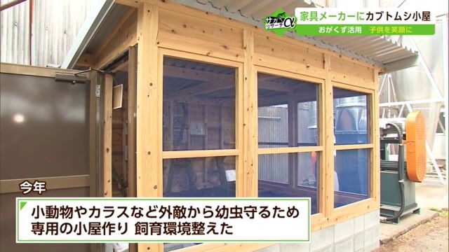 家具メーカーが"おがくず"活用 職人が「カブトムシ」1000匹飼育 【佐賀市】