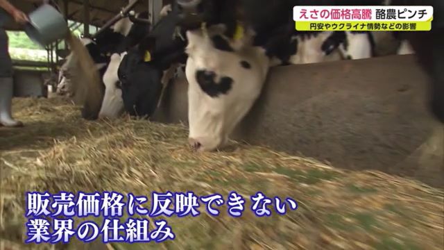 「53年間で一番厳しい」急速な飼料高騰に追い付かず酪農業界が悲鳴【佐賀県】