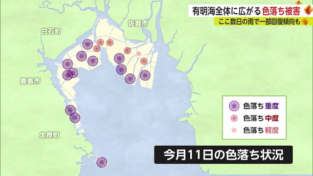 「深刻な状態、死活問題」 有明海に広がる養殖ノリ"色落ち”被害で漁業者は…【佐賀県】