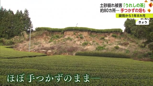 復旧は"業者の順番待ち" 豪雨被害から1年8カ月の今も茶畑は手つかずのまま【佐賀県】