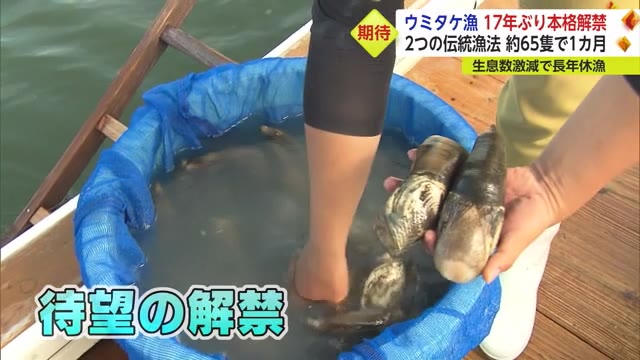 有明海の「ウミタケ漁」17年ぶりに待望の解禁 "伝統漁法"も復活 【佐賀県】