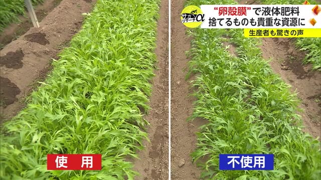 世界初！わずか0.07ミリの卵の薄い膜から液体肥料を開発 廃棄するものを商品化【佐賀県】