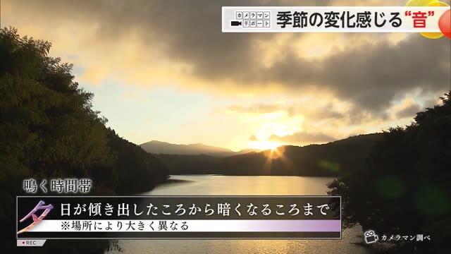 カメラマンリポート 季節の移ろいを感じさせる"ある音"【佐賀県】