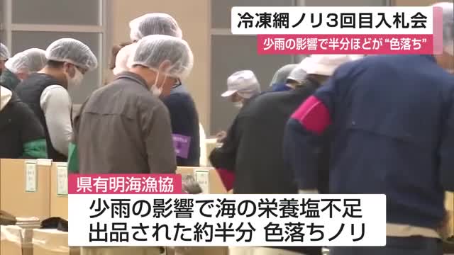 「本来なら1億枚超える時期ですけど...」冷凍網ノリ3回目の入札会 出品枚数約8900万枚【佐賀県】