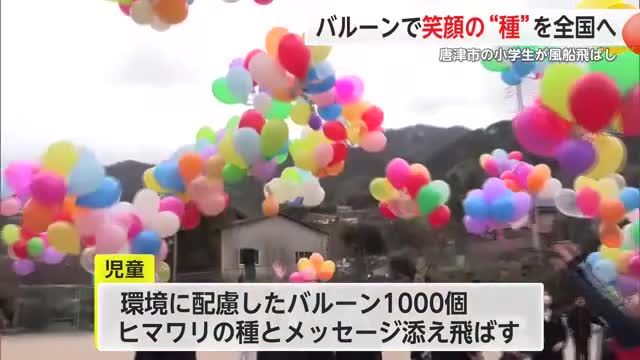 メッセージを添え バルーン1000個にヒマワリの種をつけて大空へ 平原小学校【佐賀県】