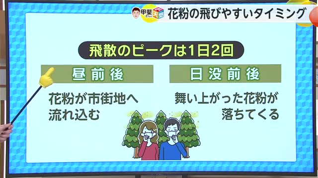 気象予報士に聞く「花粉の飛びやすいタイミング」とは？【佐賀県】