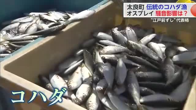 オスプレイの騒音がコハダ漁に影響？漁業者からは不安の声 現場を取材【佐賀県】