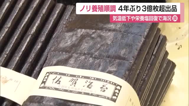 佐賀海苔4年ぶりに ”3億枚超え”出品 海況良く養殖順調 有明海産ノリ入札会 【佐賀県】