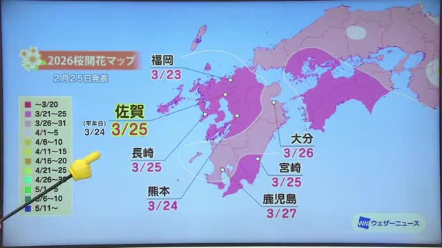 「桜の開花には休眠打破が必要」佐賀県は3月25日開花予想【佐賀県】