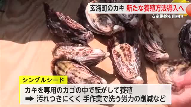 「安定的なカキの供給目指す」 玄海町で新たな養殖方法の試験導入【佐賀県】
