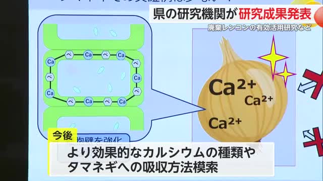 タマネギの病気予防や廃棄レンコン有効活用 研究成果を発表【佐賀県】