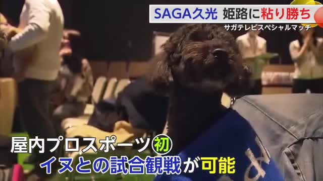 屋内プロスポーツ初！愛犬との観戦可能に　SAGA久光　サガテレビスペシャルマッチ　【佐賀県】