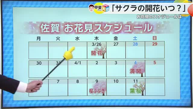 お天気箱「桜の開花いつ？」26日予想から少し早まるか…【佐賀県】