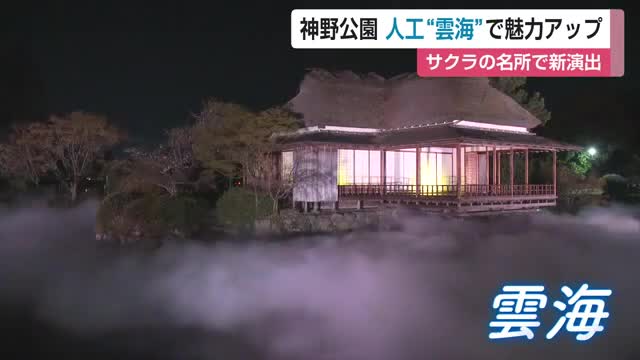 「夢の世界でした」桜の名所 神野公園に人工雲海が出現 県内初の幻想的な夜間演出スタート【佐賀県】