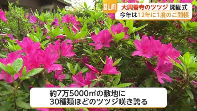 12年に一度の「秘仏」が公開 基山町・大興善寺のツツジ園が今年も開園【佐賀県】