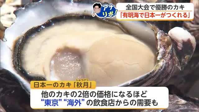 有明海から日本一へ 太良町カキ漁師の挑戦と有明海から生まれたブランド牡蠣「秋月」【佐賀県】