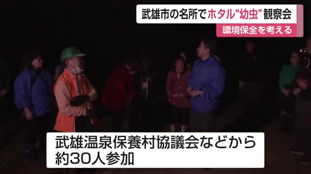 ヘイケボタルの幼虫発見「ホタル幼虫の見学会」ゲンジボタルは5月下旬から飛翔ピーク【佐賀県】