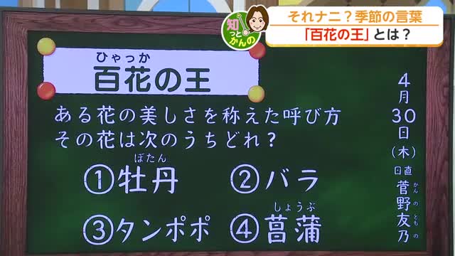 ゴールデンウイーク前に知っておきたい5月1日の天気と牡丹・芍薬の見頃情報【佐賀県】