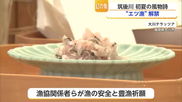 わずか3カ月間しか味わえない魚 筑後川の初夏の風物詩 「エツ」漁が解禁【佐賀県】