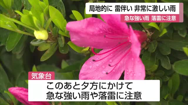 夕方にかけ 雷伴う非常に激しい雨に注意【佐賀県】