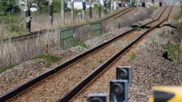 【速報】唐津市でJR筑肥線の列車が倒木と衝突　けが人なし　上下線で運転見合わせ【佐賀県】