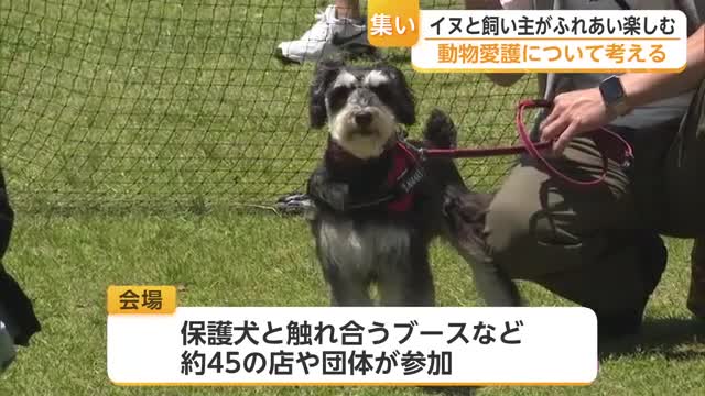 保護犬とふれあい ペット同伴避難所の案内 ドッグフード…動物愛護 わんこの集いに45ブース【佐賀県】