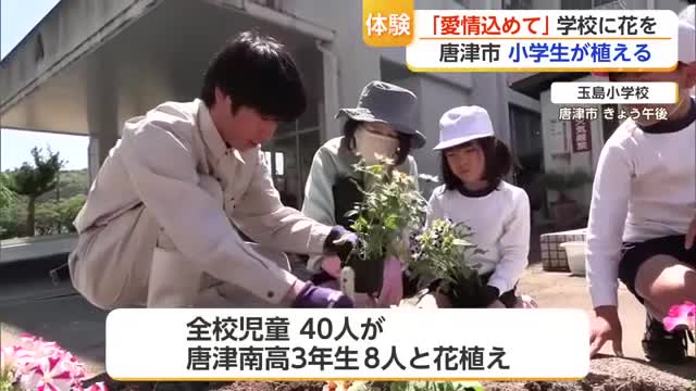「学校が綺麗になってうれしかった」唐津南高校生と玉島小学校児童が200ポットの花を植える【佐賀県】